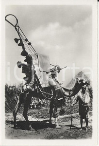 Fotografia d epoca originale 1935ca A.O.I. ETIOPIA Ritratto di guerriero etiope con cammello VERA FOTO 9X5,8 1