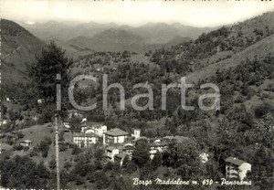 Cartolina originale da collezione 1960 ca BORGO (TO) Panorama della frazione MADDALENE *Cartolina FG VG 1
