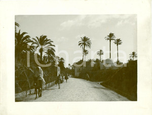 Fotografia d epoca originale 1935 ca TRIPOLI LIBIA Una delle nuove strade dell OASI Fotografia 1
