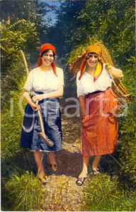 Cartolina originale da collezione 1930 ca COSTUMI TICINESI Contadine al lavoro nei campi Cartolina 1 1