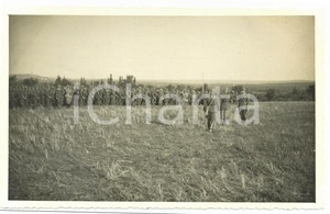 1941 WW2 ISTRIA Località SISSANO 412° bis Battaglione Costiero - I° annuale (1)