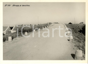 Fotografia d'epoca originale 1935 circa SIRACUSA Una strada di bonifica Foto ANIMATA 1