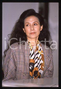 35mm vintage slide* 1988 ITALY Bamboo HIRST writer RICE DOESN'T GROW ON TREES(5)