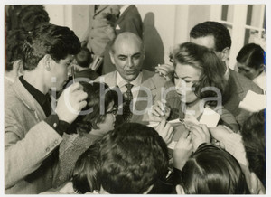 Fotografia d epoca originale 1956 ROMA Ciampino  Film Orgoglio e passione  Sophia LOREN firma autografi 1