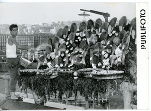 1955 ca NAPOLI - MERGELLINA Ostricaro durante raccolta delle ostriche *Foto