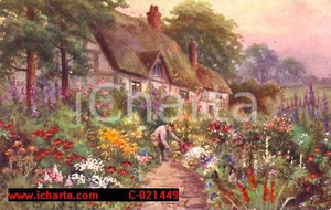 Autografo originale 1919 MILANO Cottage fiorito *Cartolina Anita POLI ad Angelica CAMOZZI VERTOVA 1