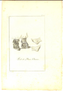 Stampa, bozzetto originale 1800 ca FRANCE Pieds des dames chinoises  Stampa inc. TARDIEU l ainÃ© 21x30 cm 1
