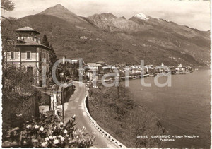 Cartolina originale da collezione 1955 ca CANNOBIO (VB) Panorama con LAGO MAGGIORE *Cartolina FG NV 1