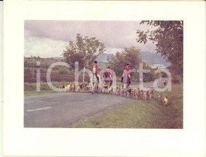 Autografo originale 1970 ca ROMA Biglietto con scena di caccia *Autografo Filippo CIGALA FULGOSI 1