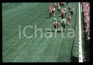 Fotografia d epoca originale 35mm vintage slide 1977 EPSOM DERBY Lester PIGGOTT riding THE MINSTREL 1