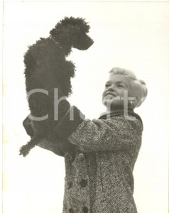 1957 PARIS TROCADERO Jayne MANSFIELD con il suo barboncino *Foto 13x18 cm