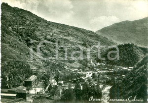Cartolina originale da collezione 1955 ca PERRERO TO Panorama della valle e colonia Cartolina FG NV 1