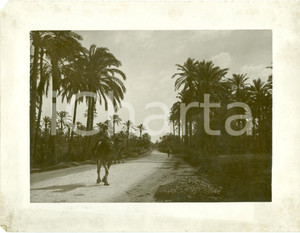 Fotografia d epoca originale 1935 ca TRIPOLI LIBIA Nuova strada coloniale nell oasi Foto ANIMATA 1