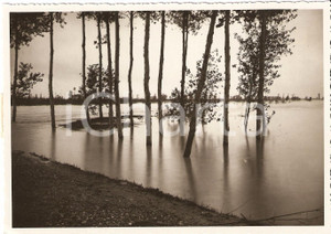 Fotografia d'epoca originale 1933 SAN MICHELE AL TAGLIAMENTO (VE) Esondazione fiume 1