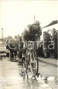 1956 CICLISMO TOUR DE FRANCE Nino DEFILIPPIS durante una tappa - Foto 13x18