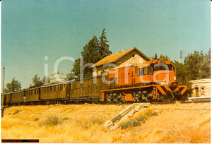 Fotografia d'epoca originale Hashemite Kingdom of Jordan train, Giordania photo 1