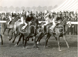 Fotografia d epoca originale 1960 LINCOLN HANDICAP  Horse Mustavon winning the race Photo 20x15 cm 1