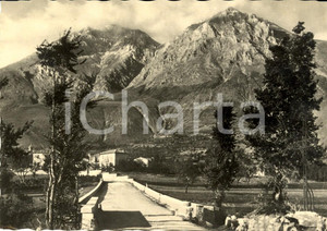 Cartolina originale da collezione 1951 AVEZZANO AQ Veduta ingresso paese e Monte VELINO Cartolina postale FG VG 1