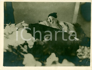 Fotografia d epoca originale 1928 RIO DE JANEIRO Salma aviatore Carlo DEL PRETE post mortem FOTOGRAFIA 1