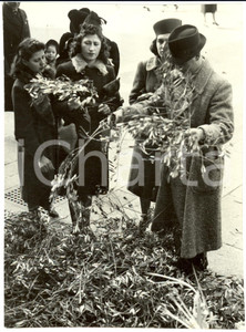 Fotografia d epoca originale 1941 MILANO Fedeli con rami di ulivo nella domenica delle Palme Fotografia 1