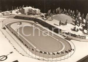 1955 ca MISURINA (BL) Plastico ANELLO OLIMPIONICO Pattinaggio di velocità CARTOLINA
