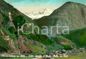 Cartolina originale da collezione 1960 CAMPODOLCINO (SO) Veduta vallata con Pizzo SELLA *Cartolina FG VG 1