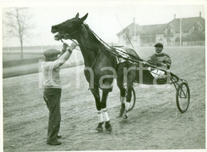 Fotografia d epoca originale 1936 MILANO SAN SIRO Cavallo AULO GELLIO al peso dopo vittoria al trotto FOTO 1