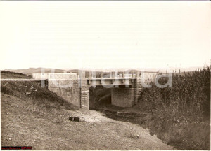 Fotografia d epoca originale 1932 TRAPANI, S.P. 49 di Passofondo, ponte sul Rognone 1