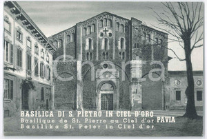 Libro, pubblicazione d epoca 1970 ca PAVIA Basilica di S. Pietro in Ciel d Oro  32 pp. ILLUSTRATO 1