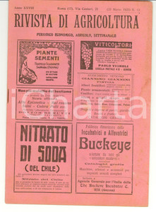 Giornale, rivista storica 1923 ROMA Rivista di agricoltura  Anno XXVIII nÂ° 12 1