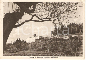 Cartolina originale da collezione 1949 MONTECATINI VAL DI CECINA PI Frazione BURIANO Vista Palazzo Padronale VG 1