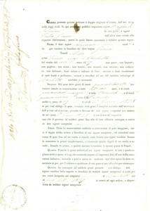 Documento originale, autentico 1837 NAPOLI Raffaele SALMINI vende grani teneri BARLETTA a Pietro GRACCO 1