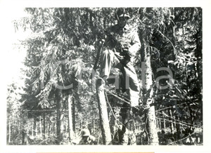 Fotografia d epoca originale 1942 FINLANDIA WW2 Soldati finlandesi distruggono reticolati nemici Fotografia 1