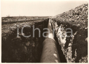 Fotografia d'epoca originale 1939 SALICE SALENTINO (LE) Condotta SAN PAOLO a Zanzara 1