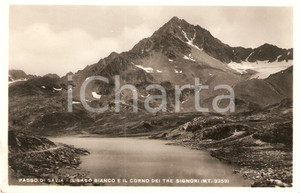 Cartolina originale da collezione 1938 PASSO DI GAVIA (SO) Lago BIANCO e CORNO DEI TRE SIGNORI *Cartolina FP NV 1
