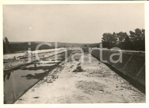 Fotografia d'epoca originale 1933 ROSARNO RC Inalveazione bonifica torrente MAMMELLA 1