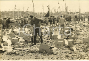 1962 LA-TRINITE'-SUR-MER Guerre pêcheurs bretons aux sardines du Maroc *Photo