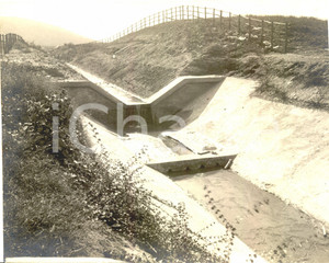 Fotografia d'epoca originale 1930 circa GROSSETO Il canale di PESCINA STATUA Foto 1