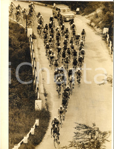 1967 CICLISMO GIRO D'ITALIA 12^ Tappa CASERTA-BLOCKHAUS - Passaggio del gruppo Fotografia d'epoca con didascalia coeva.  CONDIZIONI: GFORMATO: 18x24 cm     originale e autentica 1