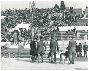 Fotografia d epoca originale 1970 ca CALCIO  ROMA  ULTRAS  Polizia in campo con i cani Foto 30x24 cm 1