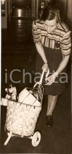 Fotografia d epoca originale 1941 BERLIN DE Donna con sporta di fiaschi di vino Fotografia 1
