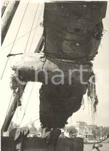 1954 OSTIA Recupero di aereo tedesco precipitato durante la guerra *Foto 13x18 Fotografia d'epoca con didascalia coeva.  CONDIZIONI: G (ma sovraimpressione circolare) FORMATO: 13x18 cm    originale e autentica 1