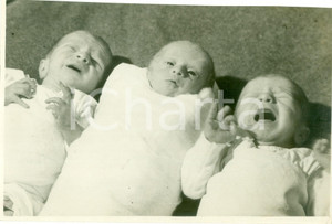 Fotografia d epoca originale 1937 MILANO Neonati in fasce nel Giorno della MaternitÃ  e Infanzia Fotografia 1