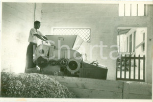 Fotografia d epoca originale 1940 ca AFGOI SOMALIA Operaio indigeno allo smistamento del cotone Fotografia 1