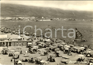 Cartolina originale da collezione 1963 MANFREDONIA (FG) La spiaggia di SIPONTO Animata FG 1
