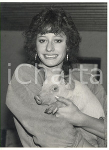 1985 ca VEBEROED (SVEZIA) Christel SCHULER abbraccia un maialino *Foto 18x24 cm