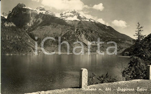 Cartolina originale da collezione 1950 ca MOLVENO TN Veduta del lago e delle montagne Cartolina postale FP VG 1