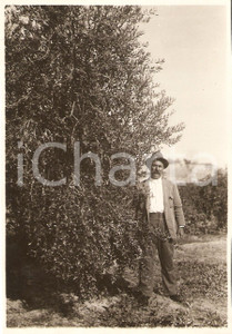 Fotografia d'epoca originale 1935 ca GURGI (LIBIA) Coltivazione ulivi Concessione GUGGIONI *Fotografia 1