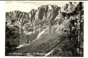 Cartolina originale da collezione 1950 LA PRESOLANA BG Veduta del massiccio montuoso Cartolina postale FG VG 1