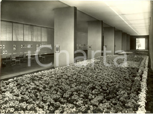 Fotografia d epoca originale 1935 MILANO Fiera  Padiglione Concorso FOTOGRAFICO allestimenti floreali Foto 1